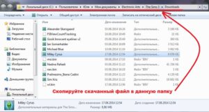 Какие файлы должны быть в папке симс 3