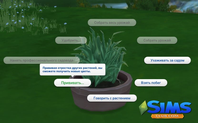 побег растений в sims 4