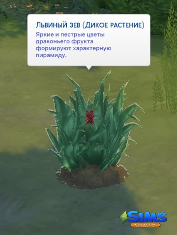 львиный зев в The Sims 4